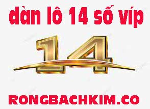 rong-bach-kim-co-lo-14-so-do-214-294.jpg