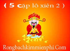 5-cap-lo-xien-2-trang-215-295.jpg
