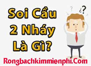 soi-cau-2-nhay-vang-214-294.jpg
