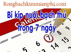 bach-thu-lo-khung-7-ngay-do-215-295.jpg