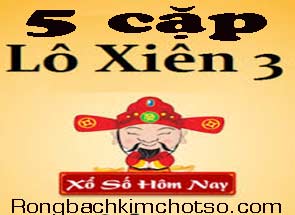 5-cap-lo-xien-3-den-215-295.jpg