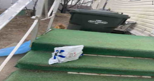 image92c669bf477d5314.png