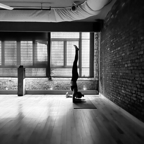 If you are searching for the best classes for hot yoga near me then you search ends here. VERAYOGA is a hot, athletic, vinyasa yoga studio with locations in Tribeca, at the crossroads of Soho and Chinatown in New York City and Boerum Hill in Brooklyn. We provide fitness-focused approach that blends yoga principles, strength training, heat, and mindfulness.
https://www.verayoga.com/
