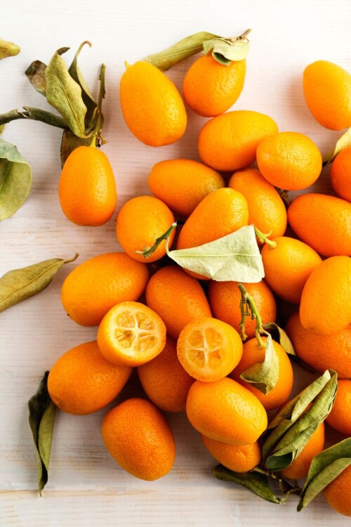 Kumquat-tree-citrus-fruit-on-Thursdf632a8c33236e2ce.jpg