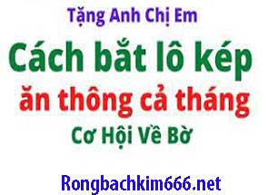 cach-bat-lo-kep-xanh-215-29551e723605b6e6023.jpeg