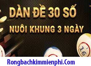 dan-de-30-so-khung-3-ngay-xanh-215-2950bb5c4f513e4e257.jpeg