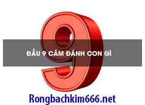 dau-9-cam-danh-con-gi-xanh-215-295da70e5c9f7865569.jpeg