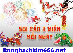 soi-cau-lo-3-mien-xanh-215-2951e0e851b3f6d608d.jpeg