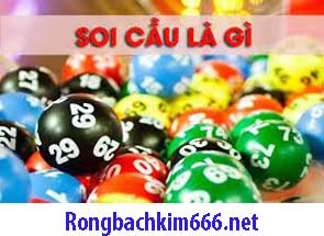 soi-cau-lo-la-gi-xanh-215-295d24e2daf000dbaa2.jpeg