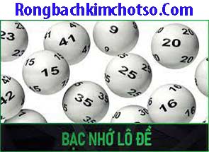 bac-nho-lo-de-xanh-215-295aaeee4ea9e308194.jpeg