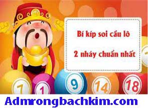soi-cau-lo-2-nhay-xanh-215-295f28d0aa75a2cc0a0.jpeg