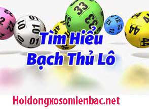 bach-thu-lo-do-214-294a03ac097c57a880f.jpeg