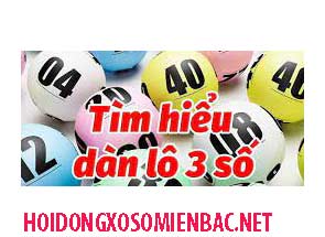 dan-lo-3-so-do-215-2958d9580a5c3464853.jpeg