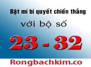 nuoi-lo-khung-hieu-qua-do-215-295aaf0ddb2387a8236.jpeg