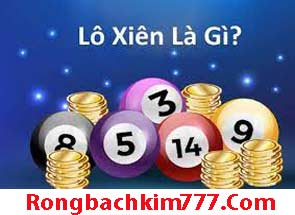 4-cap-lo-xien-2-do-215-295a5233f15bc30bdcd.jpeg