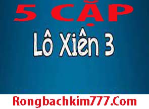 5-cap-lo-xien-3-do-215-295cd09b11f4f2b8a38.jpeg