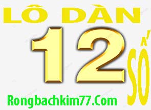 dan-lo-12-so-vang-215-2958b986c2018bef568.jpeg