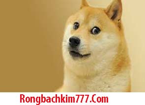 mo-thay-cho-do-215-295ebe6e9984e5bfd43.jpeg