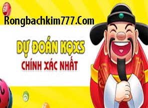soi-cau-lo-den-216-296786885c3a90887c9.jpeg