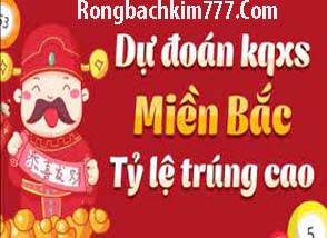 soi-cau-xo-so-do-214-2948c665232bf549bf8.jpeg