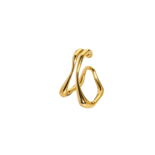 1pc-Stainless-Steel-Double-Ear-Bone-Clip-Earring-Statement-Gold-Plated-Metal-Ear-Cuffs-Fake-Non-Piercing-Earrings-For-Womena69921a708f1297f.jpeg