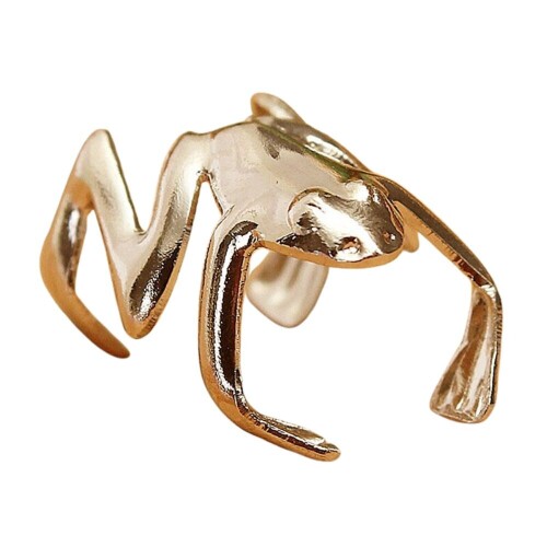 2Pcs-Punk-Stylish-Alloy-Frog-Cuff-Ear-Clip-Wrap-Earring-Women-Men-Earrings-Jewelry4da06d65dc4b8ea0.jpeg