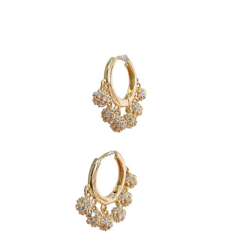Zircon-Exquisite-Earrings-Temperament-Circle-Earring-Pop-Exquisite-Luxury-Jewelry-Simple-Classic-Earrings9670dbdae417e39e.jpeg