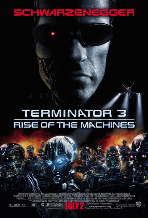Terminator.3.Rise.of.The.Machines.2003.1080p.BRrip.x264.GAZ0d8edb3a1fd7dc40.jpeg