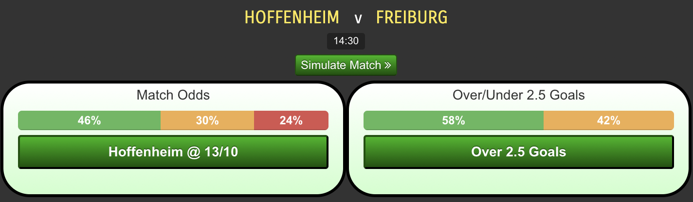 Hoffenheim-vs-Freiburg1abeb76cfcd0a10e.png
