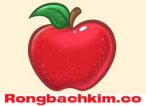 rong-bach-kim-co-do-214-2942a2d7d93b4f7fd75.jpeg