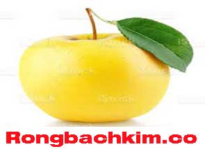 rong-bach-kim-co-do-215-29530664bf8af1d8407.jpeg
