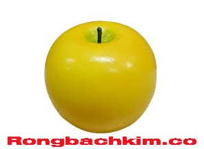 rong-bach-kim-co-do-216-2961f2ee6eb34055544.jpeg