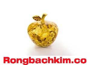 rong-bach-kim-co-do-218-298bbd83ea68b765917.jpeg