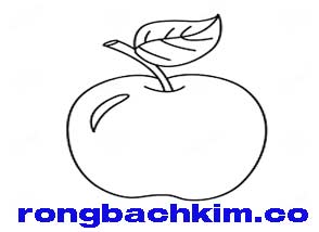 rong-bach-kim-co-xanh-214-29460f3aeb74f61c2cc.jpeg