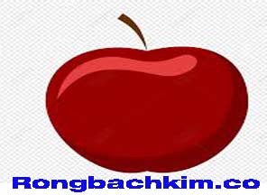rong-bach-kim-co-xanh-216-296ed4190efb96fff33.jpeg