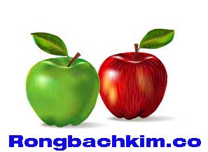 rong-bach-kim-co-xanh-218-298b3c0e4d99145af79.jpeg