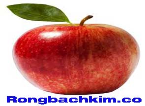 rong-bach-kim-co-do-215-2950f4bf13587aaf5c8.jpeg