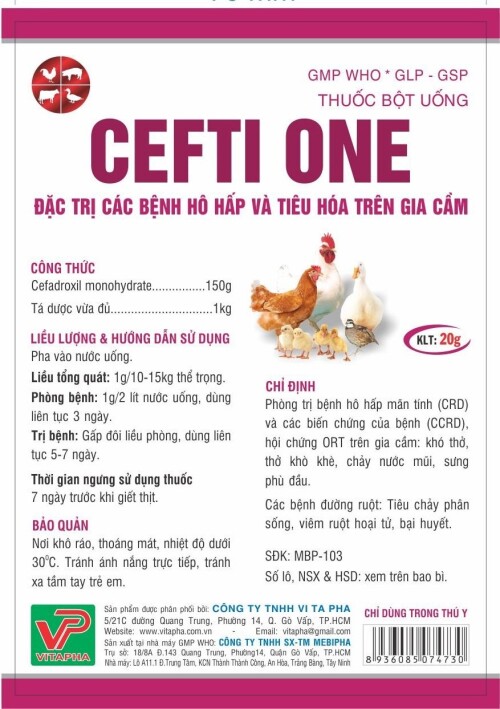 CEFTI-ONE-20gddf54b36497796ec.jpeg