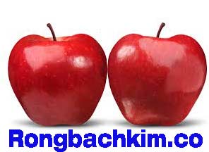 rong-bach-kim-chot-so-do-216-29686e59bba57e6603f.jpeg
