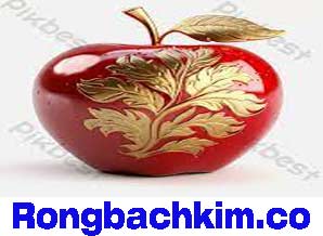 rong-bach-kim-chot-so-do-218-298d9c3f1d13e8ce0ea.jpeg