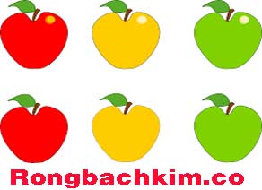 rong-bach-kim-chot-so-do-212-29226735cd849a26c13.jpeg