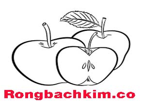 rong-bach-kim-chot-so-do-213-293e33ebad437468beb.jpeg