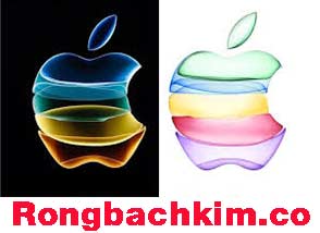 rong-bach-kim-chot-so-do-214-294673268797219a750.jpeg