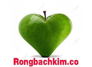 rong-bach-kim-mien-phi-com-do-216-296cfda26b24356ca60.jpeg