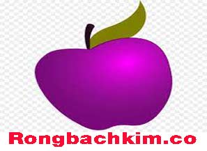 rong-bach-kim-mien-phi-com-do-217-297f7494ecf358ec41d.jpeg