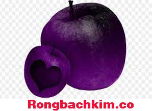 rong-bach-kim-mien-phi-com-do-218-298e410743ee0f6589d.jpeg