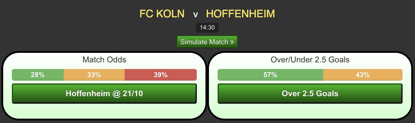 FC-Koln-vs-Hoffenheim08d6aad2d5d7087b.png