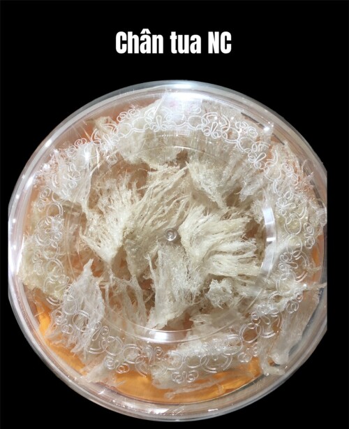 Chan-tua-NC558e0c3ca8885c2b.jpeg