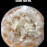 Chan-tua-NC558e0c3ca8885c2b