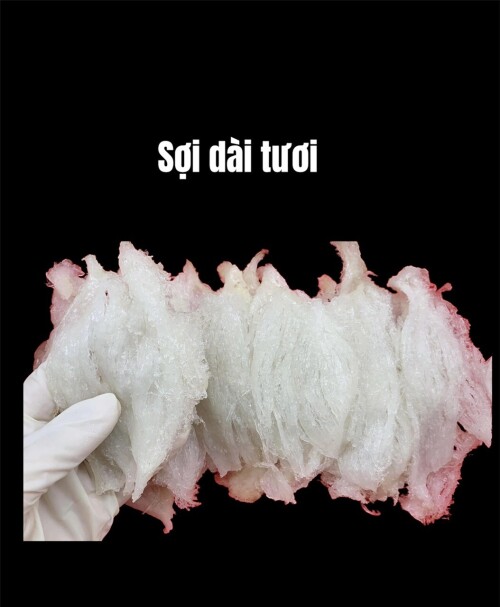 Soi-dai-tuoib3ad6f87406c855e.jpeg